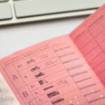 führerschein kaufen legal